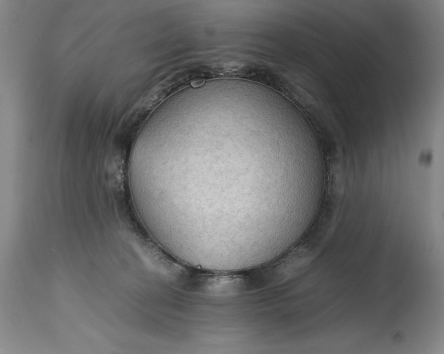 X0000115440274200911181530