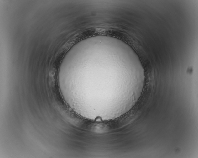 X0000115440275200911181530