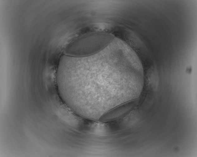 X0000115440276200911181530