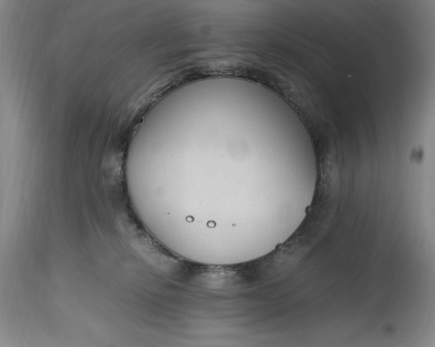 X0000115440278200911181530