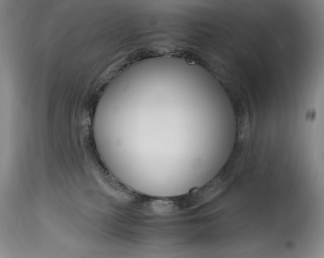 X0000115440279200911181530