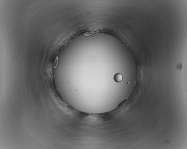 X0000115440280200911181530