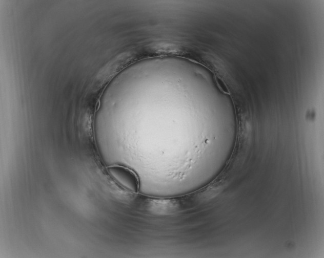 X0000115440281200911181530