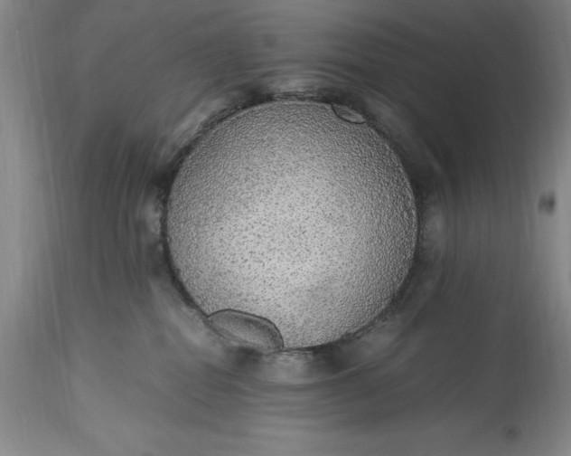 X0000115440282200911181531