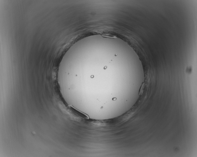 X0000115440284200911181531
