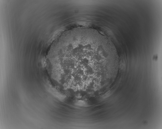 X0000115440285200911181531