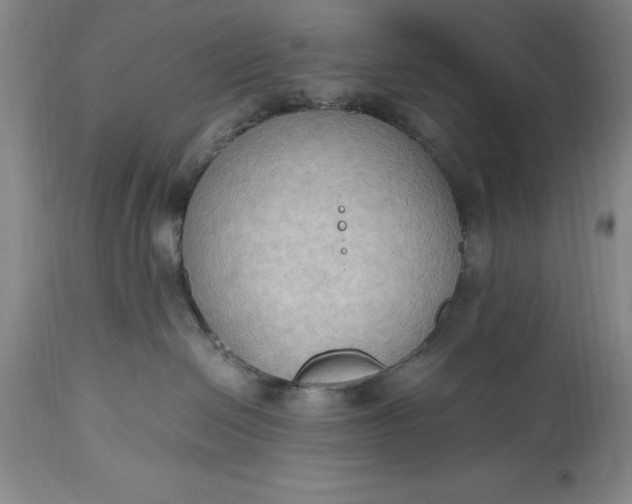 X0000115440286200911181531