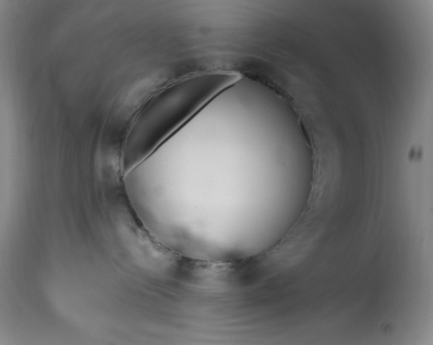X0000115440288200911181531