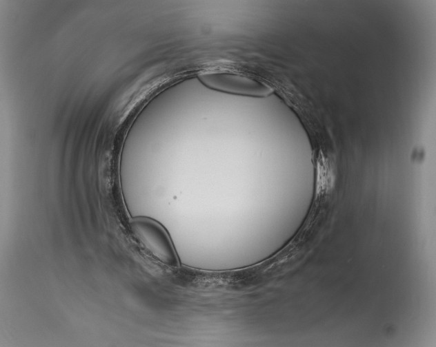 X0000115440291200911181530