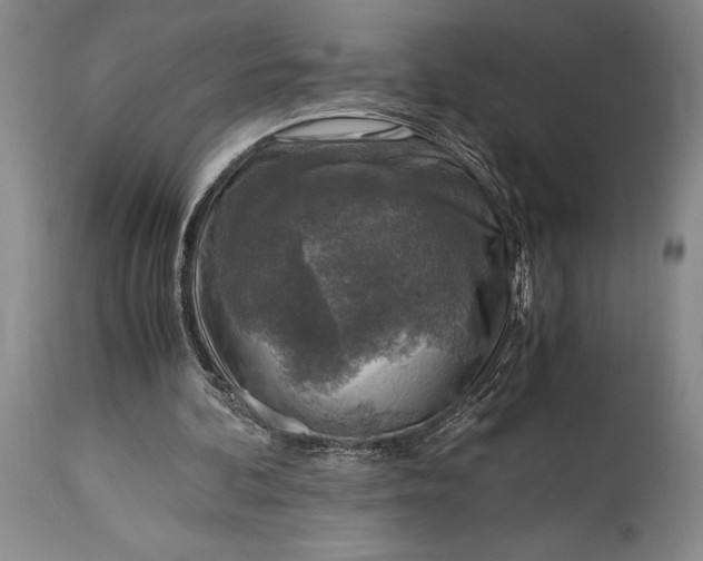 X0000115440292200911181530