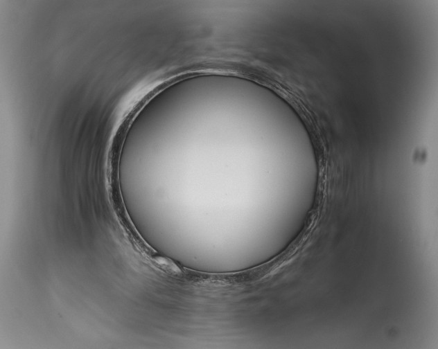 X0000115440294200911181530