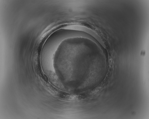 X0000115440295200911181530