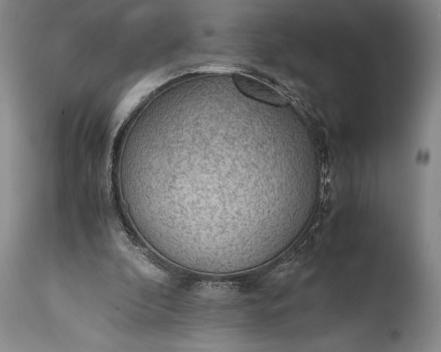 X0000115440296200911181530