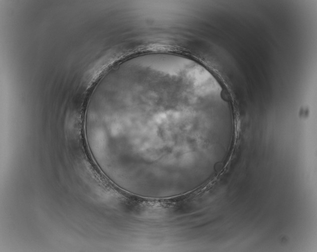 X0000115440297200911181530