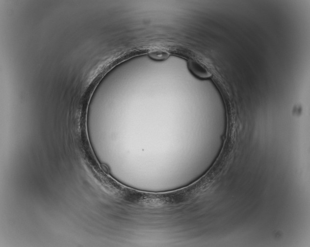 X0000115440299200911181530