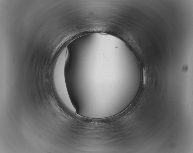 X0000115440300200911181530