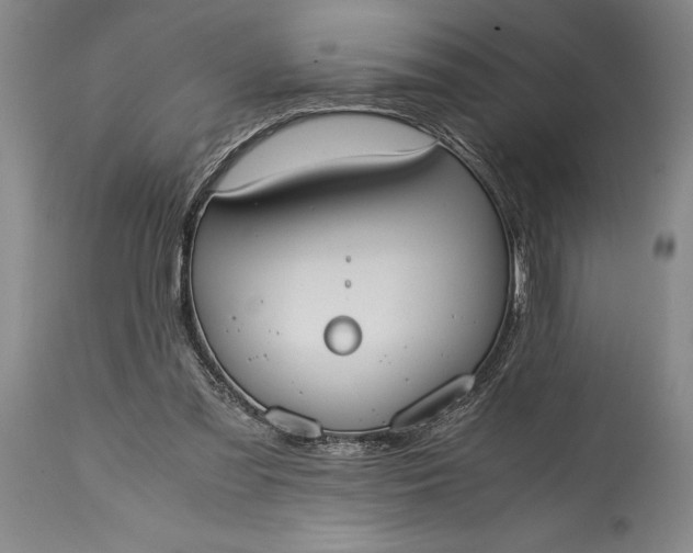 X0000115440301200911181530