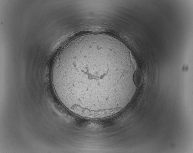 X0000115440303200911181530