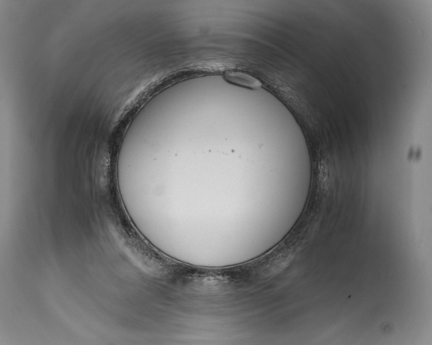 X0000115440304200911181530
