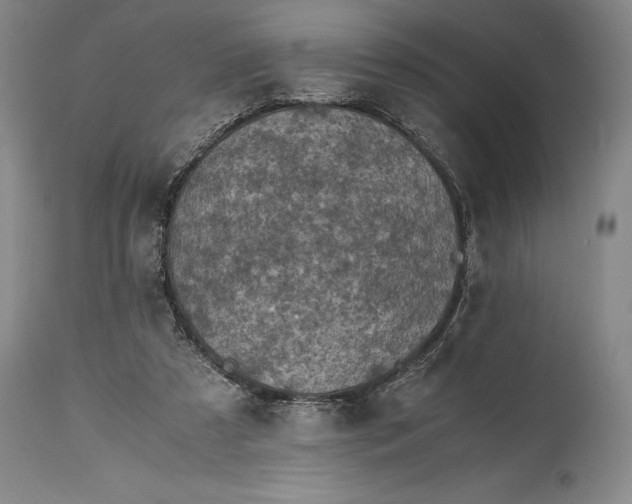X0000115440305200911181530