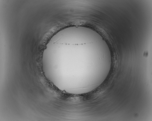 X0000115440307200911181530