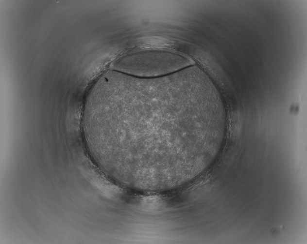 X0000115440309200911181529