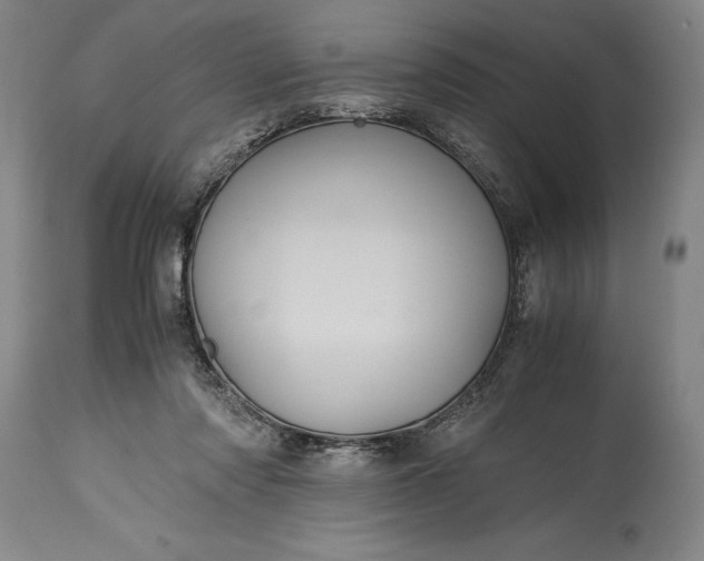 X0000115440310200911181529