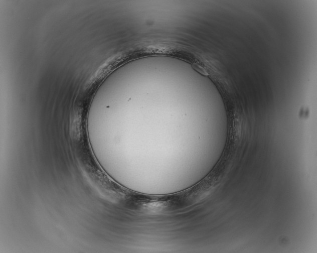 X0000115440312200911181529