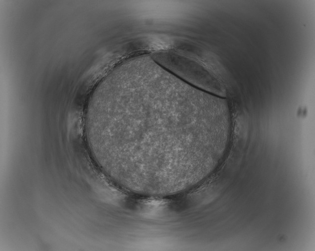 X0000115440313200911181529