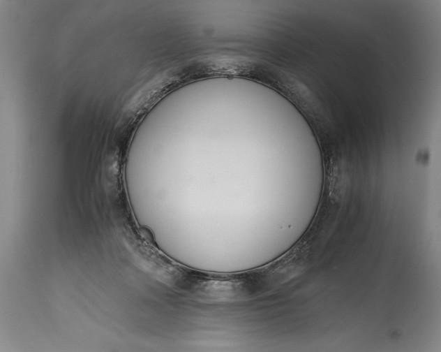 X0000115440314200911181529