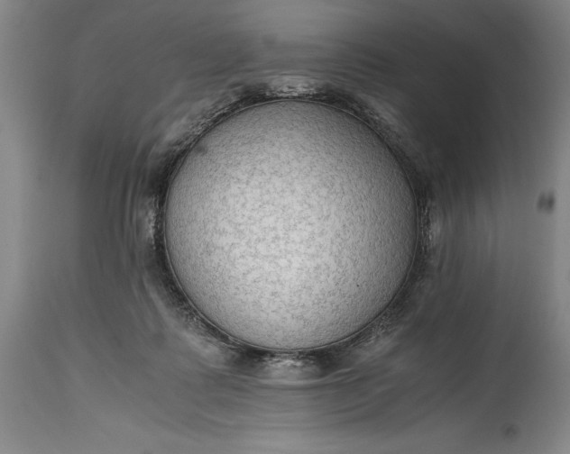 X0000115440315200911181529