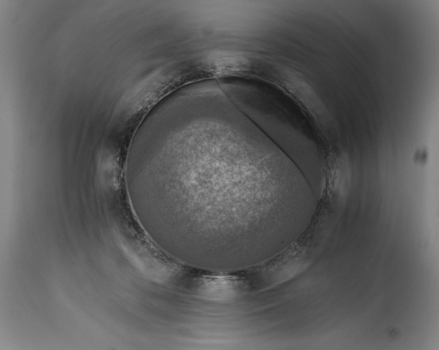X0000115440316200911181529