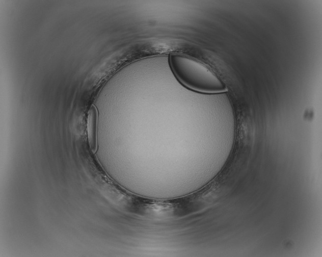X0000115440317200911181529