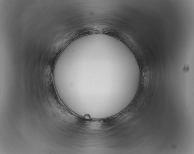 X0000115440318200911181529