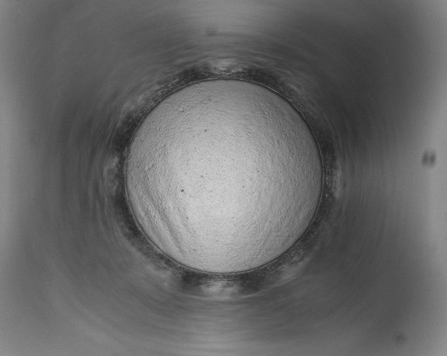 X0000115440319200911181529