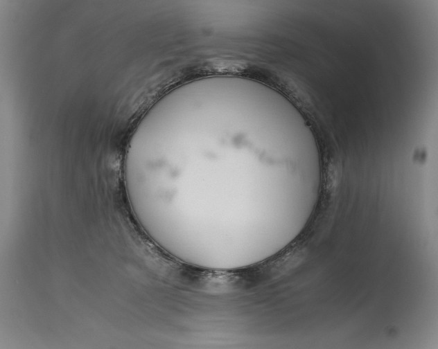X0000115440321200911181529