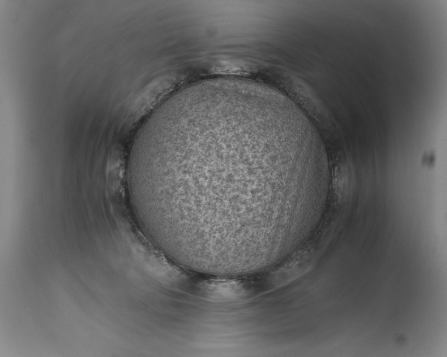 X0000115440322200911181529