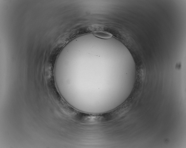 X0000115440323200911181529