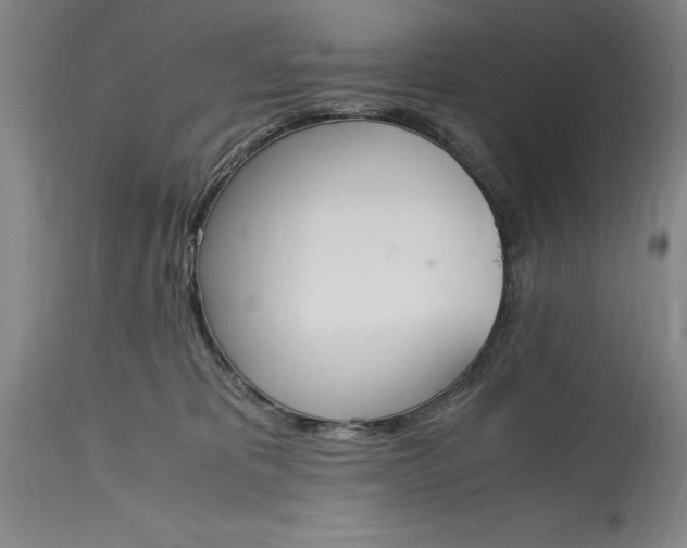 X0000115440325200911181529