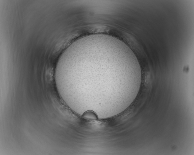 X0000115440326200911181529