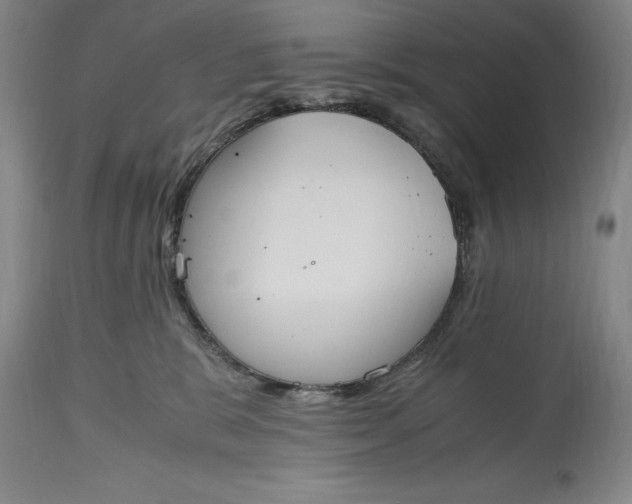 X0000115440327200911181529