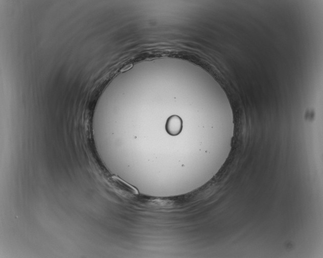 X0000115440328200911181529