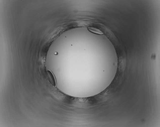 X0000115440329200911181529