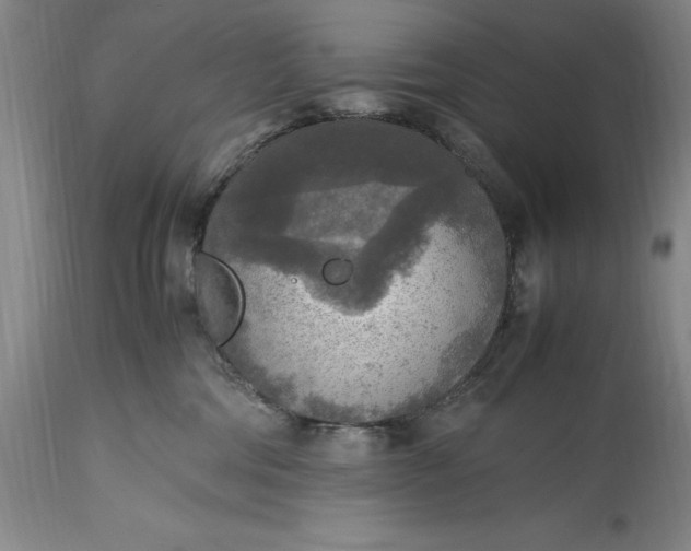 X0000115440330200911181529