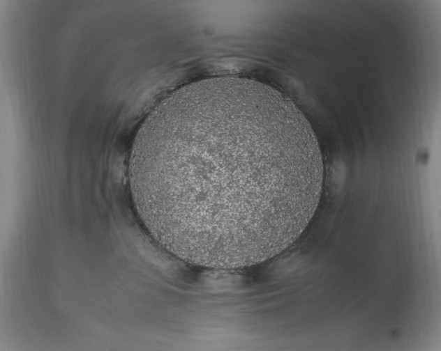 X0000115440331200911181529