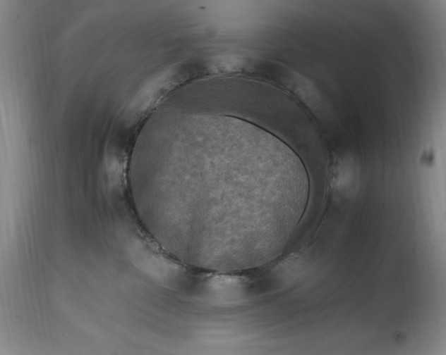 X0000115440332200911181529