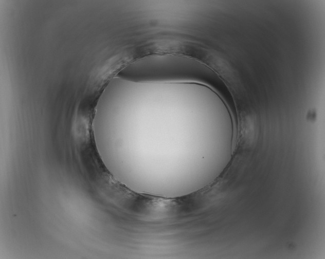 X0000115440333200911181529