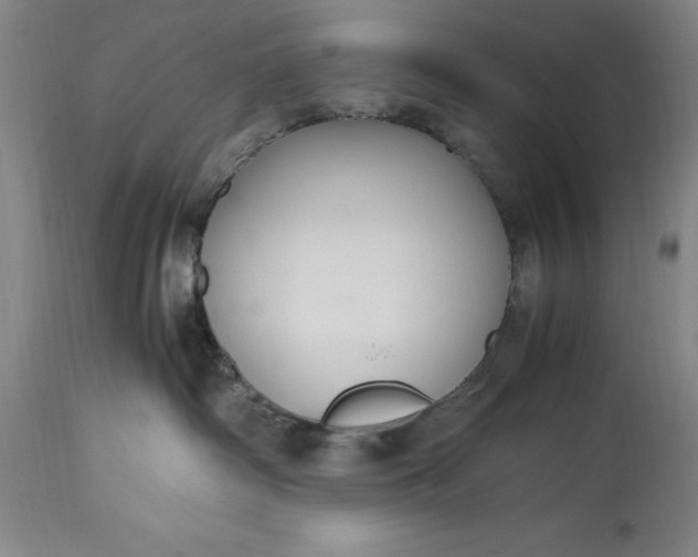 X0000115440334200911181529