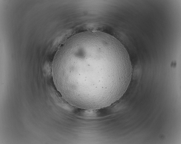 X0000115440335200911181529