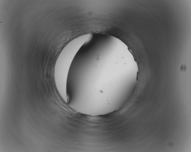 X0000115440336200911181529